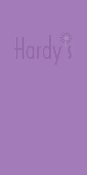 ASTRANTIA 'Snow Star' PBR 3 ASTRANTIA 'Snow Star' PBR