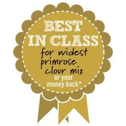 Primrose 'Alaska Improved Mixed' -Garden Plants BIC WIDESTPRIMROSEMIX B h