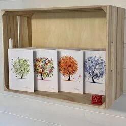 Silver Birch Tree (Betula Pendula) Grown By Cotswold Trees -Garden Plants IMG 1416202