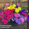 Tutti Frutti Pre-Planted Basket -Garden Plants KB3415 logo
