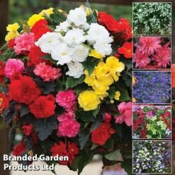 Nurserymans Choice Bedding Mix + 100g Incredibloom® + Nurserymans Choice Flower Seeds