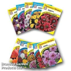 Nurserymans Choice Bedding Mix + 100g Incredibloom® + Nurserymans Choice Flower Seeds 11 Nurserymans Choice Bedding Mix + 100g Incredibloom® + Nurserymans Choice Flower Seeds -Garden Plants NURS BED COLL3