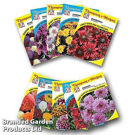 Nurserymans Choice Bedding Mix + 100g Incredibloom® + Nurserymans Choice Flower Seeds 7 Nurserymans Choice Bedding Mix + 100g Incredibloom® + Nurserymans Choice Flower Seeds - Image 5