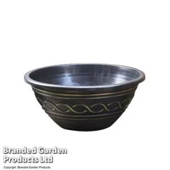 Waterlily Tricolour + Pond Basket + Black And Gold Bowl -Garden Plants POND PATIOPOT T17998