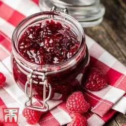 Raspberry 'Little Sweet Sister' 8 Raspberry 'Little Sweet Sister' -Garden Plants RASP RECIPE CUL