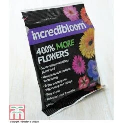 Clematis 'New Love' -Garden Plants z INCR T47963 E h3